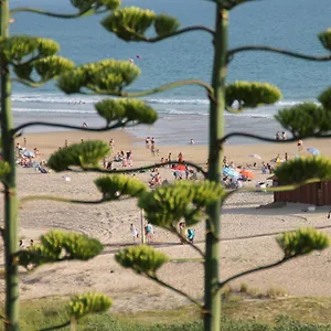 Centro De Conil Conil De La Frontera