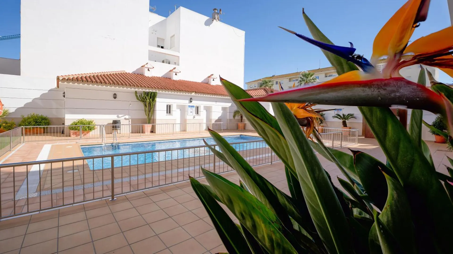 Hotel Apartamentos Loto Conil Conil De La Frontera Apartahotel