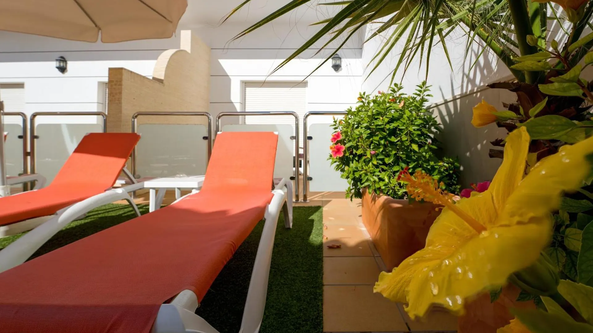*** Apartahotel Hotel Apartamentos Loto Conil Conil De La Frontera España
